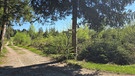 Das Schwarzlaichmoor bei Peiting | Bild: BR; Chris Baumann
