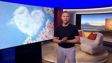 Roman Roell | Bild: BR