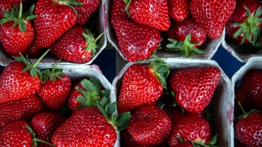 Erdbeeren | Bild: picture-alliance/dpa