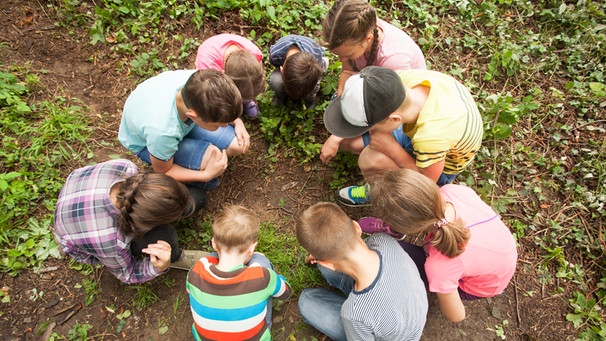 Kinder hocken im Kreis auf dem Boden und beobachten gemeinsam Käfer. | Bild: colourbox.com