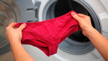 Frau hält Slip in der Hand, um sie in die Waschmaschine zu geben | Bild: mauritius images / Sergiy Serdyuk / Alamy / Alamy Stock Photos